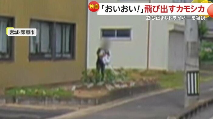 様子を見ていた近くの住民(視聴者提供)