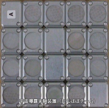 出典:東京薬科大学リリース
