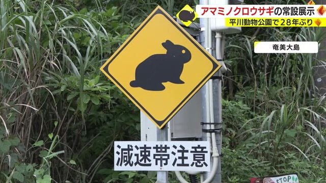 ウサギへの注意を呼びかける標識