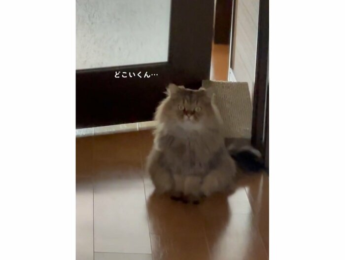 違う日の外出時もスタンバイ(提供:ひなたさん)