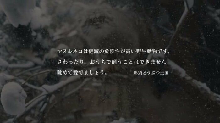 出典:那須どうぶつ王国公式YouTube