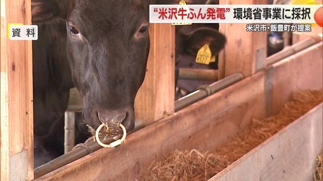 ブランド牛・米沢牛の“ふん”を有効利用