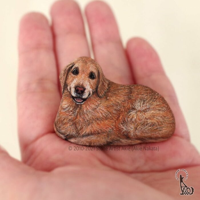 犬