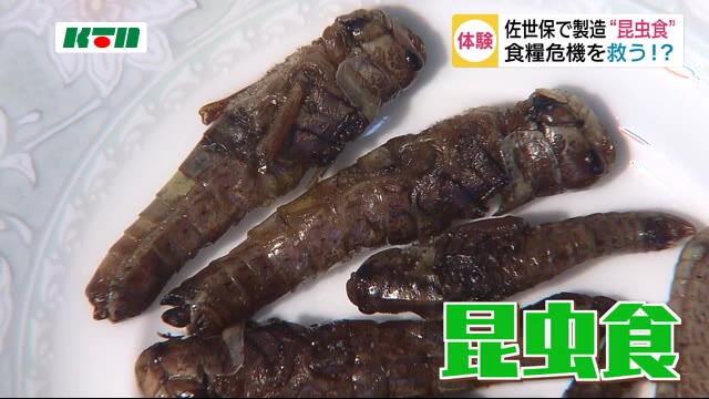 コオロギもおいしくいただきます!佐世保で製造した「昆虫食」販売スタート