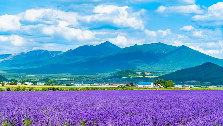 【地価上昇率トップ10全掲載】住宅地は北海道・富良野市が最も上昇し前年比31.3％　公示地価の全国平均がバブル期以来の上昇率に…｜FNNプライムオンライン
