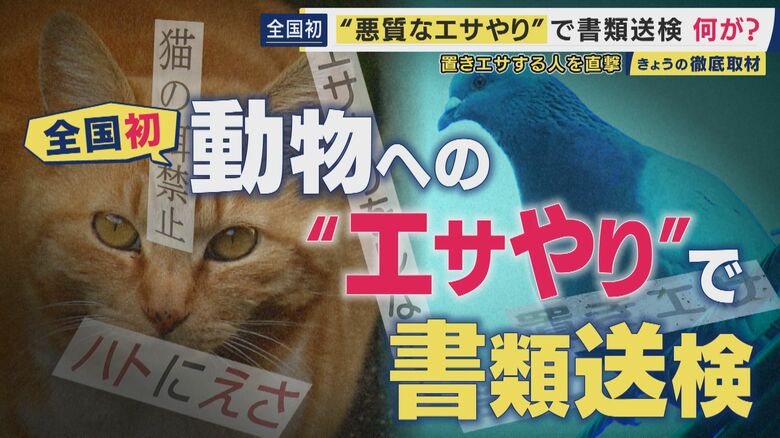 “迷惑なエサやり”　全国初の書類送検も“いたちごっこ”　自宅敷地内にまでエサが撒かれ…　“悪質なエサやり”は50万円以下の罰金の可能性も｜FNNプライムオンライン