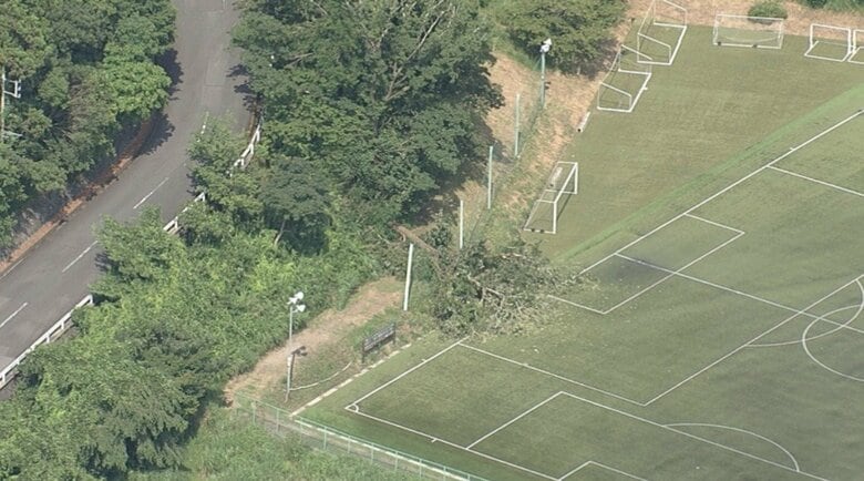 【速報】サッカーグラウンド脇の木が倒れる 小学生がサッカーの試合中 観戦中の母親や幼児含む7人ケガ 倒木の瞬間は給水中だったか 危ないと気づいた人が声かけ被害軽減か |FNNプライムオンライン