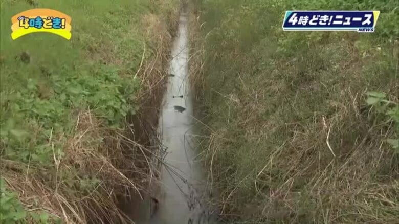 都城市の用水路に転落　男子高校生が死亡｜FNNプライムオンライン