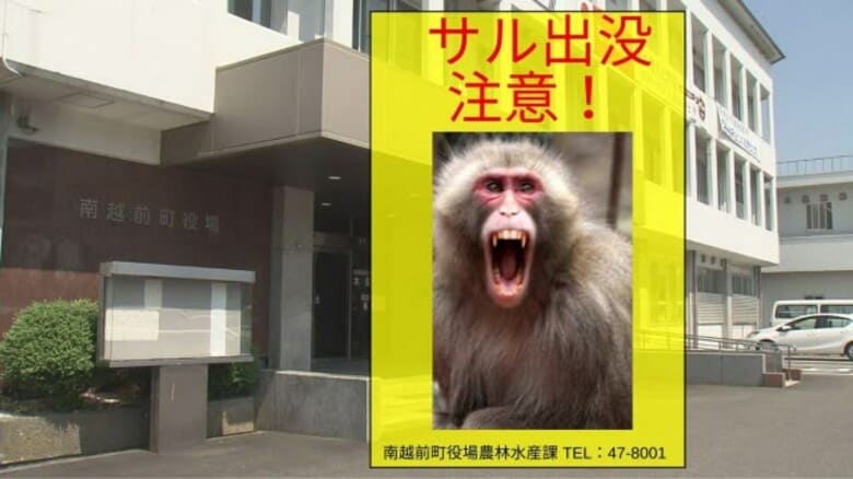 向かってきたサルに小学生が手足ひっかかれる 野球のバットを振り回し撃退 日野川河川敷のレインボーパーク南条 【福井】|FNNプライムオンライン
