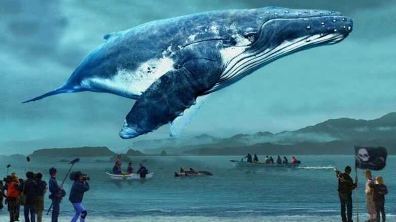 「おクジラさま」の町。シーシェパードと合わぬ価値観 映画「ザ・コーブ」に対抗する映画「おクジラさま」｜FNNプライムオンライン