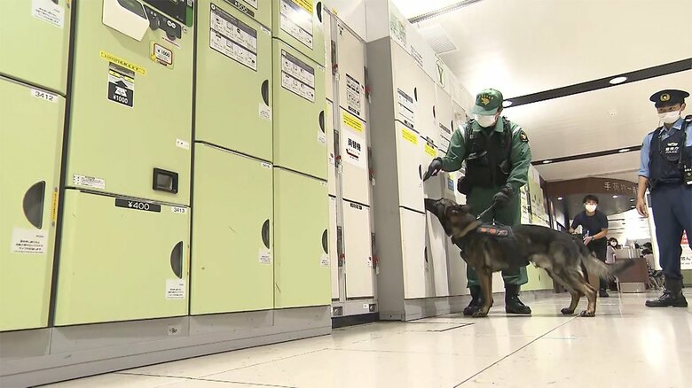 コインロッカーに不審物がないか確認する警視庁の警備犬(午前10時半ごろ JR東日本)
