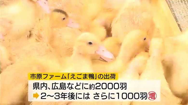 y_20200323171047_632.jpg