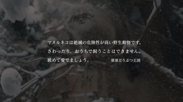 出典:那須どうぶつ王国公式YouTube