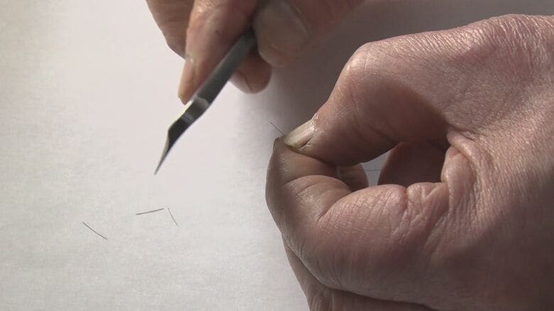 簡単に切れる髪の毛