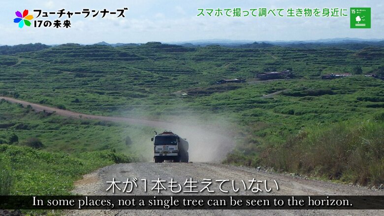 地平線まで伐採された森林跡地