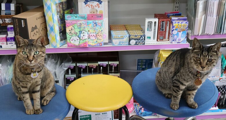 インターンのシポ子さん（左）とシマ子店長（右）