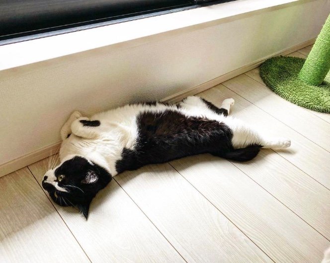 提供：卵山玉子先生