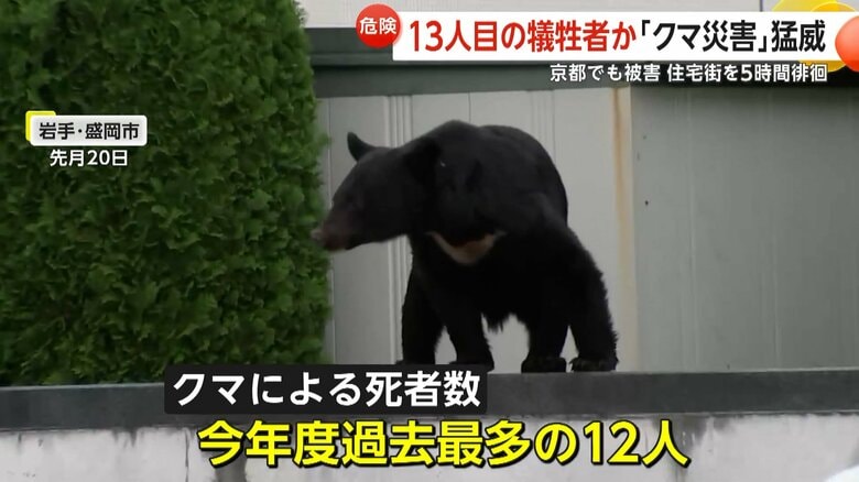 2025年度のクマ被害による死者は、過去最多の12人