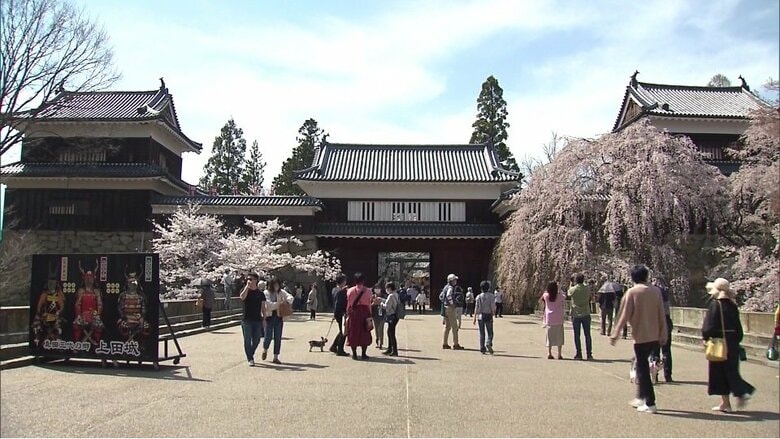 上田城跡公園の「桜まつり」