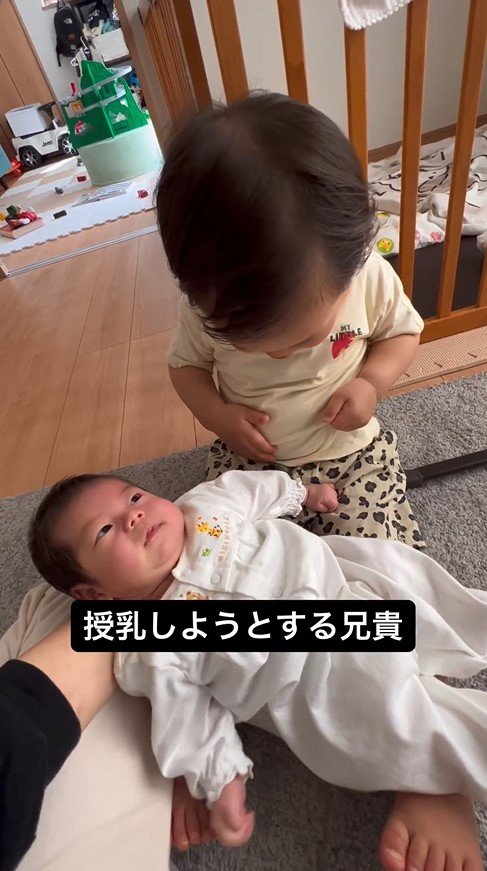 提供：＠zen_pokoさん