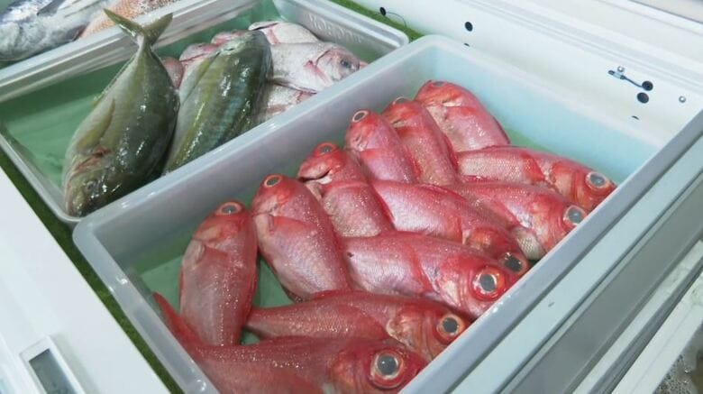 キンメダイなど