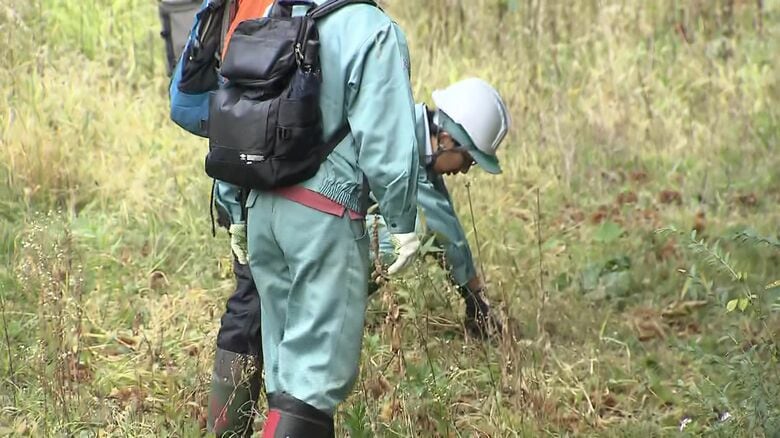 クマの痕跡を調査している札幌市の担当者
