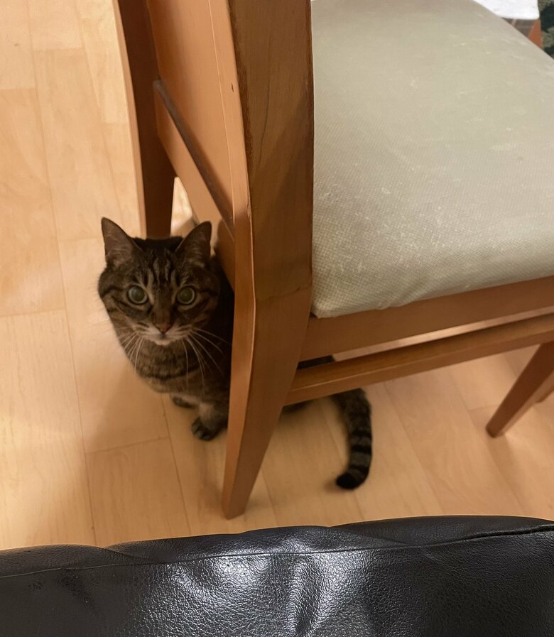 提供：えーさん