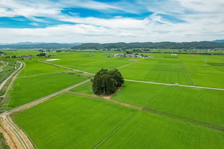 福島県・若宮八幡神社（2025年7月撮影）