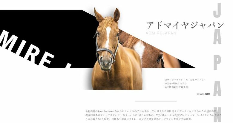引退した競走馬・アドマイヤジャパン