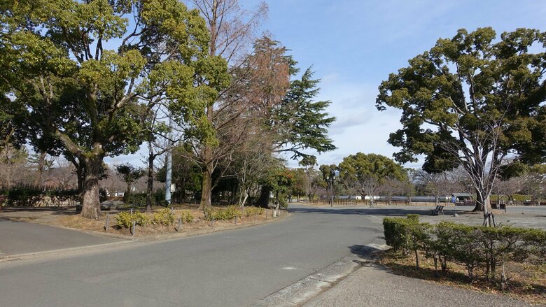 自然が豊かなところも静岡の魅力とのこと（提供：成瀬さん）