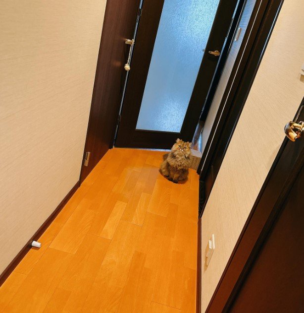 提供：ひなたさん