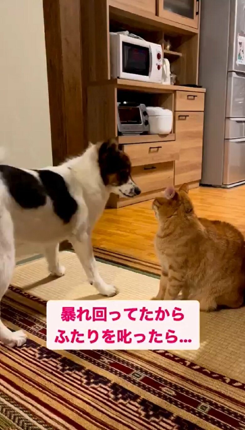 左：アグちゃん　右：ターコロくん