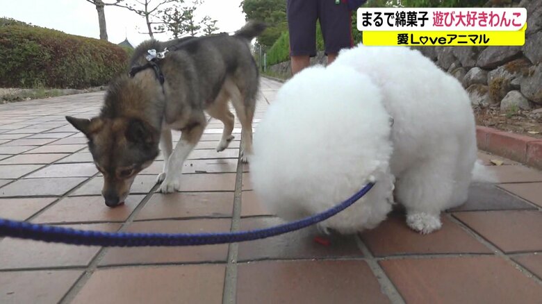 同時におやつを食べる