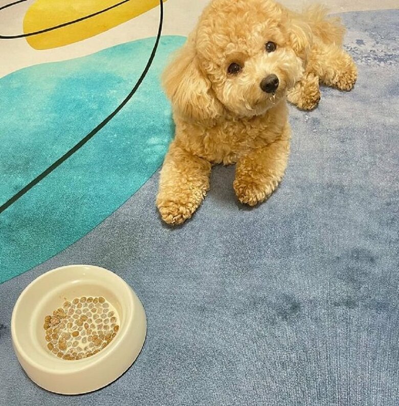 “わがまま治療中”のうにちゃん