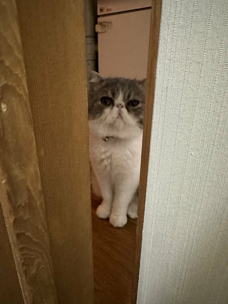 ドアの隙間から視線を感じる