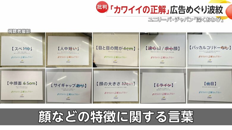 取り消し線とともに書かれているのは顔などの特徴に関する10種類の文言