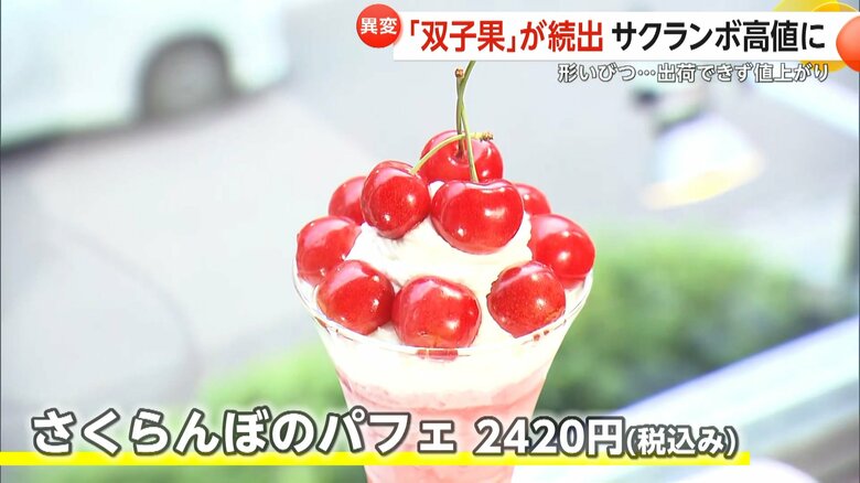 ル・パルフェ馬車道で提供される佐藤錦を使った「さくらんぼのパフェ」