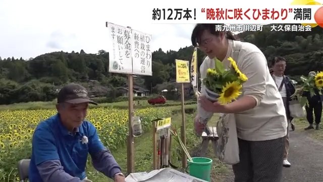 ひまわりは5本の持ち帰りが可能