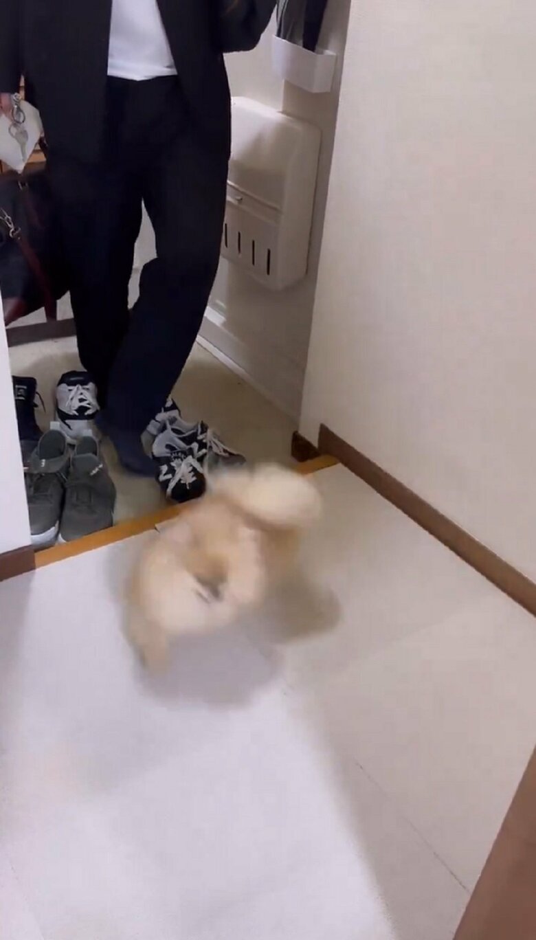 大興奮している