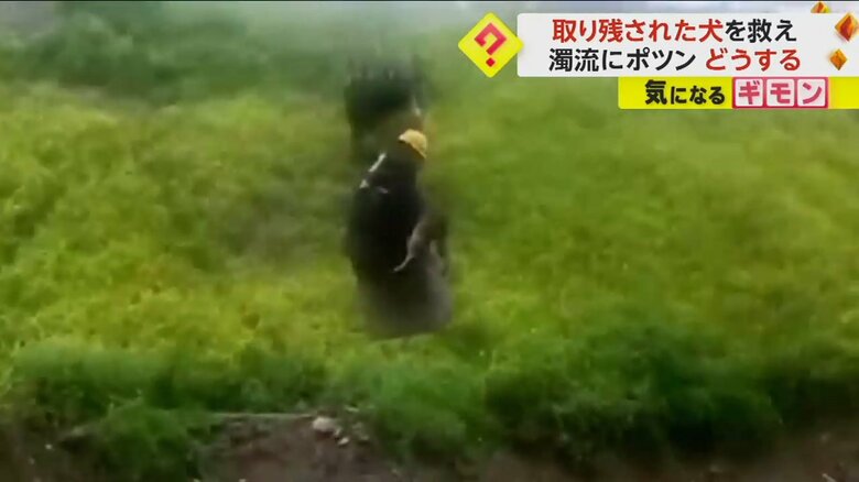 クレーンで吊り上げられた建設作業員と救助されたイヌ