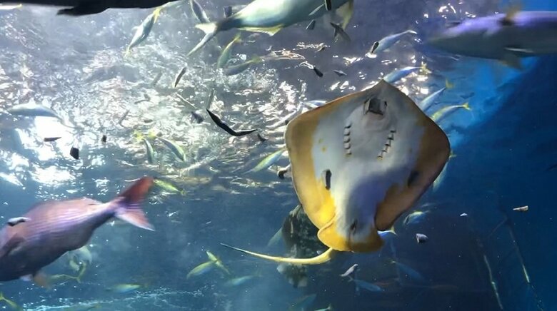 食事の様子（提供：浜名湖体験学習施設ウォット）