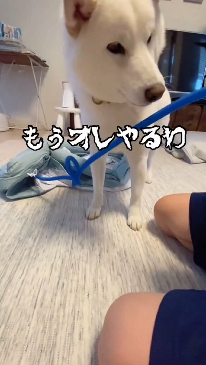 「もうオレやるわ」と長男くんと選手交代！