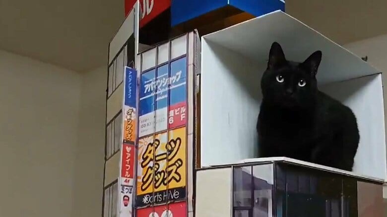 東口のビルそっくり（提供：現代美術二等兵ふじわらさん）