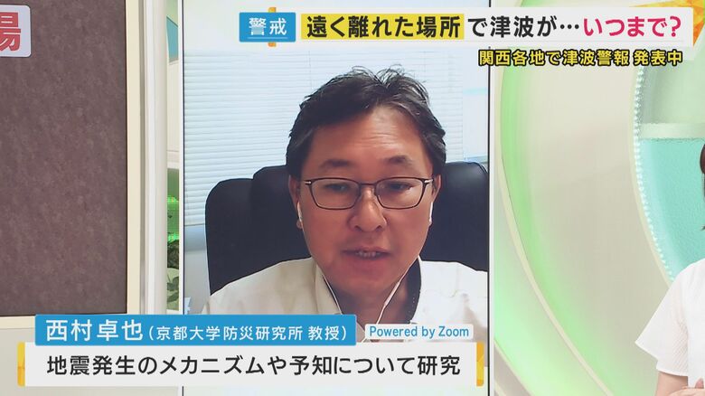 京都大学防災研究所　西村卓也教授