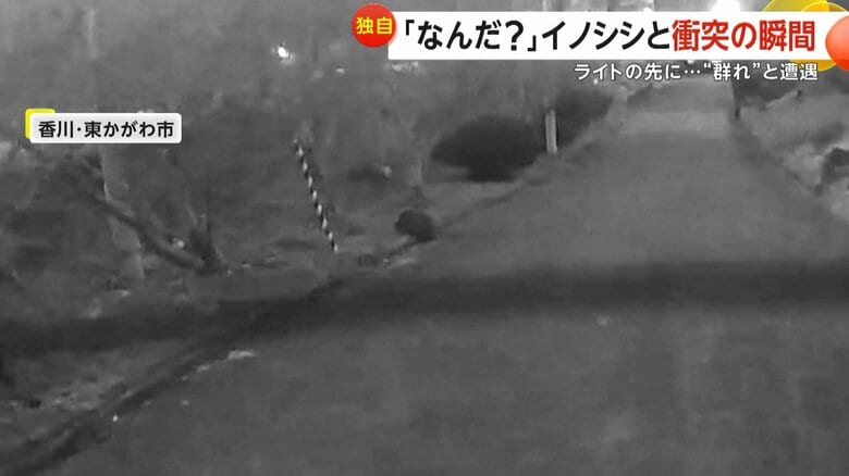 車となにかが衝突する瞬間（11日、香川・東かがわ市）