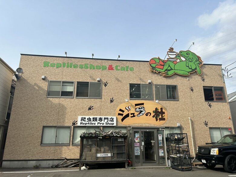 爬虫類専門店「ジュラの杜」（仙台市宮城野区）