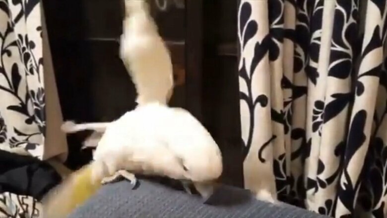 スルリと滑って危ない！その後はすぐに体勢を整えた