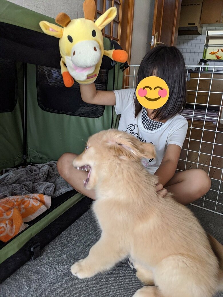 一緒に遊んでいる