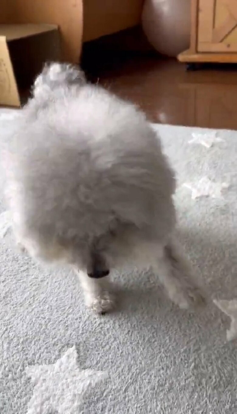 一歩ずつゆっくり進む