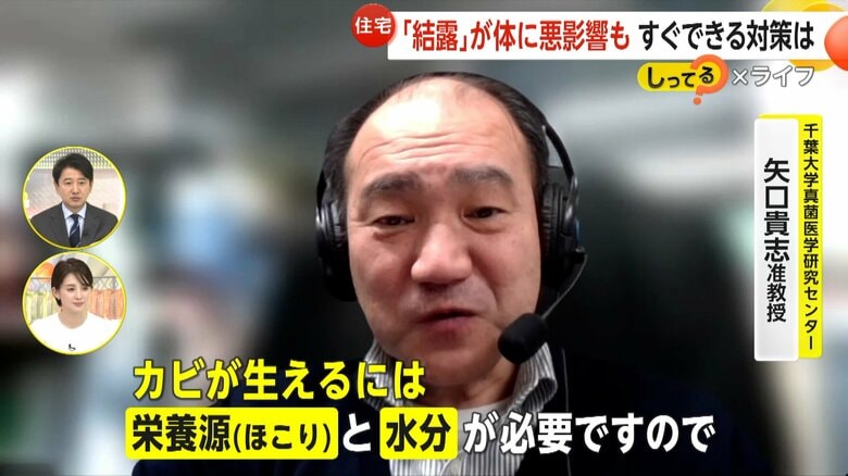 カビが生えるのに必要な栄養源と水分が揃ってしまうという結露した窓